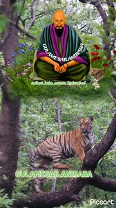 #sailani_baba_astana_hyderabad ♥️🙇🥺🙏 sailani sarkar 🥺 Haq Sailnai Ya Sailani Peer o murshid Hyatt wali Syed Zakir Ali Shah naqshbandi Hazrat Sailani Baba rahmtullah aale instgram #zakiralishan #shakiralishah #nasiralishah @sailani_baba_astana_hyderabad @gulamesailanibaba #gulamsailanibaba @sailani_baba_mere_sarkar #shakiryaba #zakiralishan #sailani_baba_astana_hyderabad ibaba #gulamesailanibaba #shakiralishan #nasiralishan #shamsheralishahnaqshbandi | Sailani Baba