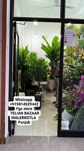 Artificial banana tree Price 4499 free shipping #bananatree #artificalplant #homedecor | FGC STORE