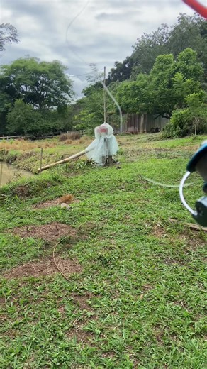 #fishing #fyp #pescaria #jeremywade | jeremy wade