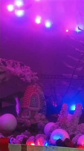 my aquarium full set up led light