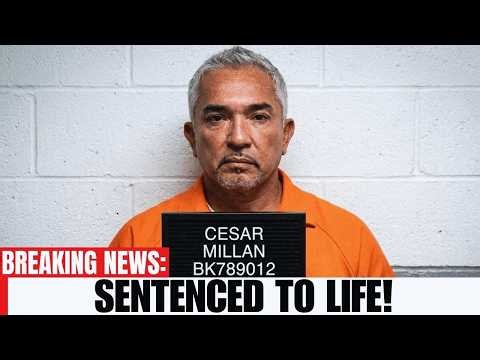 The Truth About Cesar Millan: Separating Facts From Online Rumors