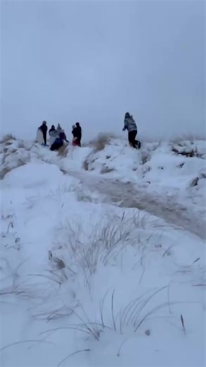 Unge surfer i sneen langs Vesterhavet Den seneste uge har elever fra HF Cold Hawaii surfet mere i klitterne end på vandet. Det er en ny disciplin for dem, der surfer i de sneklædte klitter i Klitmøller. Når tøvejret kommer, skal de tilbage i Vesterhavet. | DR Nyheder