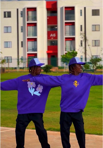 Engaging Twin Dance Challenges on TikTok