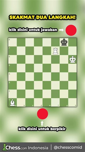 Puzzle catur skakmat dalam DUA langkah 🔥 Dapatkah kamu temukan jawabannya? 👀