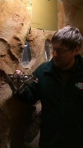 2.4K views · 4 comments | Combe Martin Wildlife and Dinosaur Park on Reels | Facebook