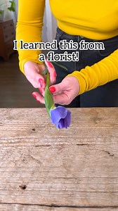 Secret Florist Trick! If you need to get Irises open for an event or arrangement, give them a few taps on a hard service, gently peel back the outer leaves, and the beautiful bloom will open! #flowers #irises #florist #floraldesign #flowerarrangement This original video was produced by Network Media, LLC and Jeff & Lauren Productions. | Randy & Mandy and Friends