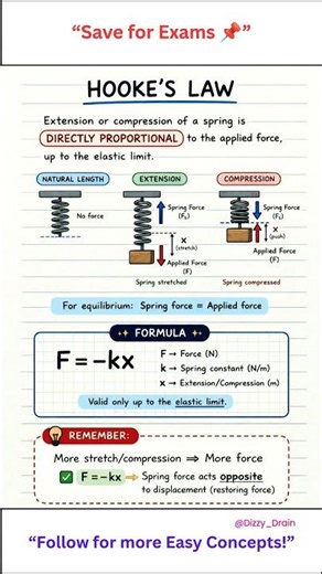 “Stretch It… It Pushes Back?! 🤯”