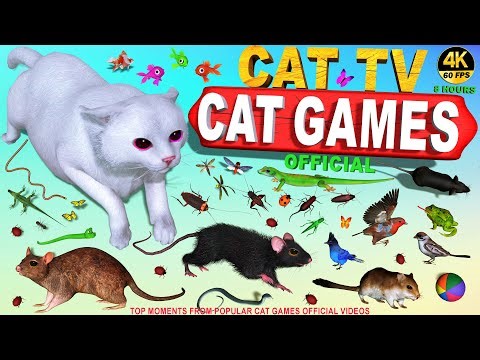 CAT TV | CAT GAMES OFFICIAL POPULAR VIDEOS BEST CLIPS & SPIKES COMPILATION VOL. 2 😻FOR CATS TO WATCH