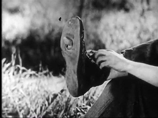 The Early History of Motion Pictures