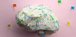 Mapping how the 100 billion cells in the brain all fit together is the brave new world of neuroscience