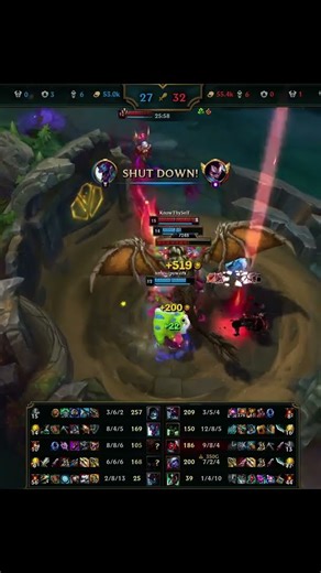 WARWICK JUNGLE HIGHLIGHTS