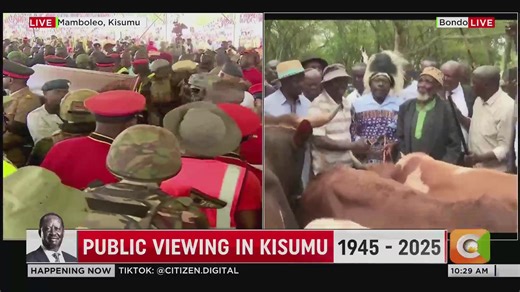 Luhya Council of Elders present bulls at the home of the late Raila Odinga in Bondo ahead of his burial tomorrow | Citizen TV Kenya