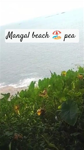 Manglore trip beach 🏖️ pea #Goa Wale beach song 🎶