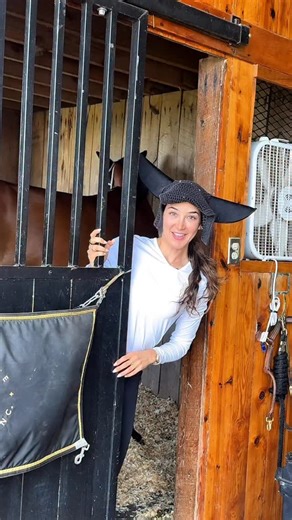 7.3K views · 14 reactions | ➡️ Never forget an appointment again with the help of @my_cheval ! Use code “Gaby25!” for added premium features ✨ #horsehumor #horses #equestrianproblems #equestrian #equestrianhumor #barnlife | Gabriela Reutter | Facebook