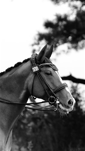 20 reactions | One of the simplest, most powerful habits you can...