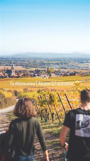Dans quelques semaines, les vignes alsaciennes vont se transformer en un tableau flamboyant aux couleurs d’automne. 🍇🍂 C’est le moment idéal pour explorer les cités viticoles qui jalonnent la Route des Vins : ruelles pittoresques, maisons à colombages et caveaux où le temps semble suspendu. ✨ Un voyage à savourer entre authenticité, culture et plaisir des sens. 🍷 🔗 Le lien est dans la bio 📸 B.Facchi / Lez Broz / A.Koeniguer / OTVKB /P.De Fontaine - ART GE / Pixels / ADT #visitalsace #alsace