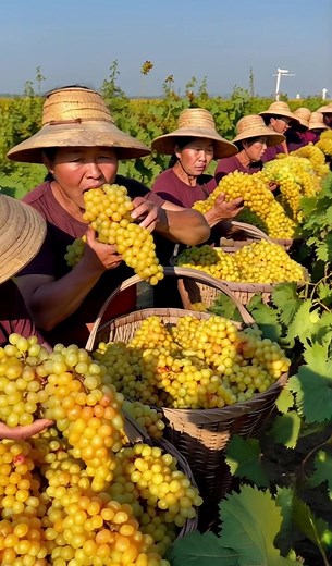 110K views · 2.4K reactions | 99% of people don’t know this fact...