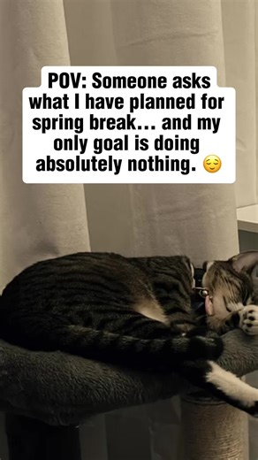 People asking about my spring break plans like it’s not just recovery from the school year. 😅 #teachersoftiktok #TeacherLife #POVTeaching #Meme #MemeCut