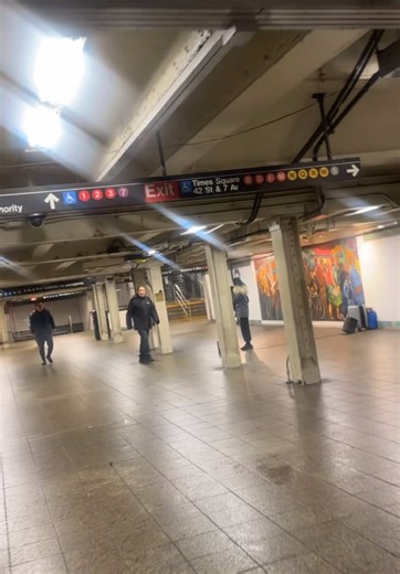 Singing in the Snowstorm: NYC Train Station Performance