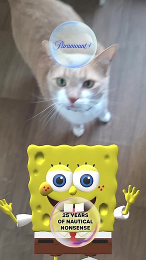 Goofy goober #goofygooberrock #goofygoober #spongebob #spongebob25 #spongebob25thanniversary #spongebob25birthday #mrkitty #paramountplus #kittycat #spongebobgoofygoober