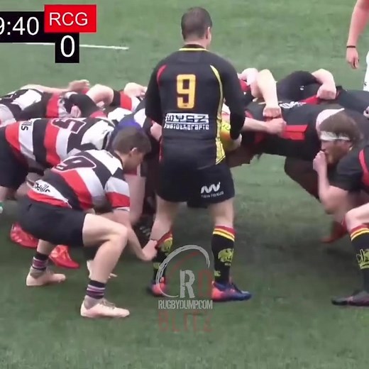 9s hate it when you mess with their socks 😂 #rugby #rugbydump