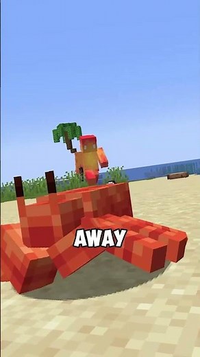 what if the beach biome was better?