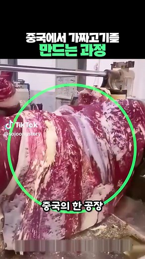 중국의 가짜 고기 생산 과정