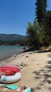 Cooling off with a bear-y refreshing swim at Bass Lake! 🐻🌊 Video credit 🎥: Sophia Berro | The Pines Resort, Bass Lake