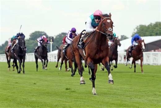 【低创烤肉】【世界の名馬】范高尔（Frankel）简介【VOICEROID配音】