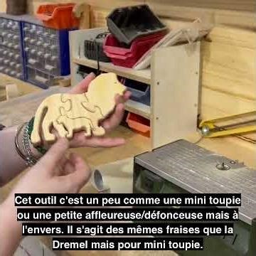 L'ABEILLE BRICOLE Toupie et Défonceuse