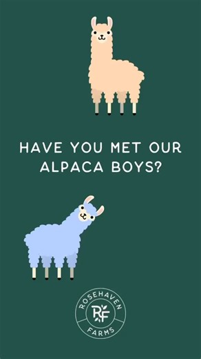 Sometimes the best present is time spent together. Gift a Rosehaven Farms experience real animals, real memories. #rosehavenfarms #grampians #grampiansfarm #countrylife | Rosehaven Farms