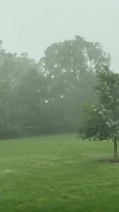 STRONG WINDS SNAP TREE: Tom in Georgetown captured the moment high winds snapped a large tree in his backyard. 😳 Thousands of customers are without power in the county right now. Seek shelter now if possible! | LEX 18