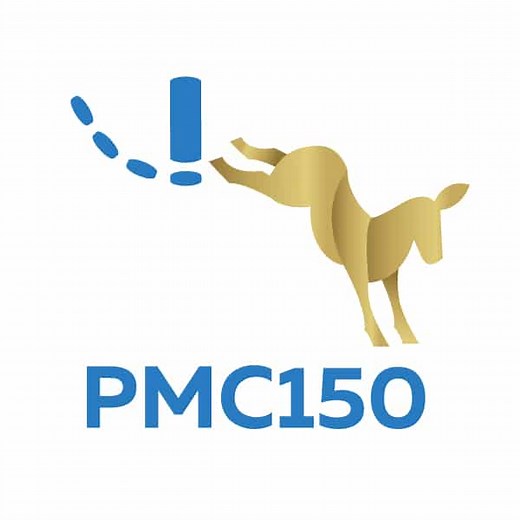 PMC150 Pneumatic Murrini Chopper