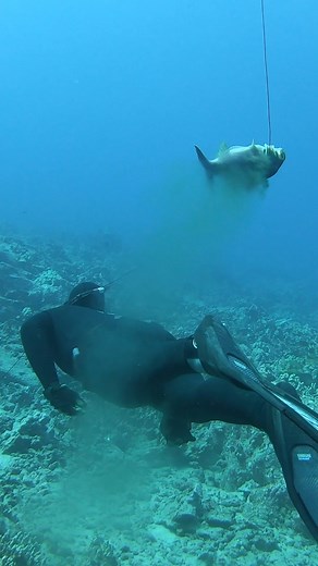 Hawaii's Best Deep Sea Diver | Ryan Myers Spearfishing