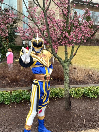 USED Chun Lee Phoenix Ranger Cosplay Costume READ BELOW - Etsy Canada