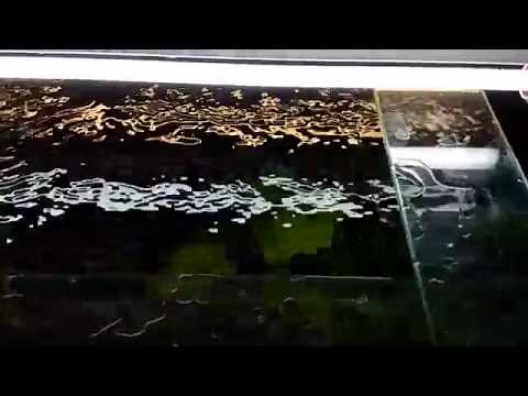 Eheim Professionell 3 2080(1200XL) Flow