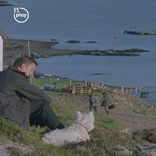 We are OBSESSED with Robert Carlyle as Hamish Macbeth, his dog Wee Jock, and the highland cows they sometimes meet! Stream the classic Scottish mystery series Hamish Macbeth for free on UKTV Play! | StreamOnU