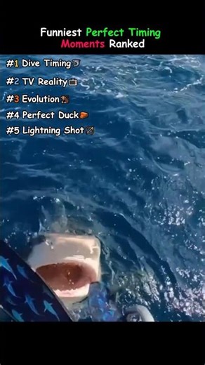 Funniest Perfect Timing Moments Ranked