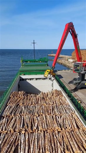 Loading of Timber Cargo #shortvideo