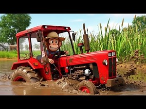 Monkey Drives the Tractor and Joins Friends to Harvest Fruit on the Farm🎉🐒|Cute Funny Monkey Cartoon