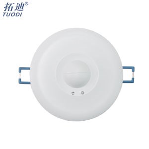 [Hot Item] Tuodi 5.8GHz High Sensitivity Wall Switch 110V 220V 240V Microwave Radar Light Motion Sensor Switch