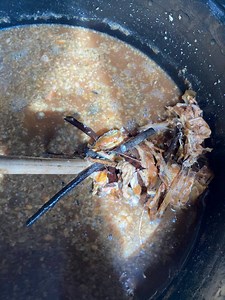 How to make Fish Hydrolysate〡Third Insight Design & nursery