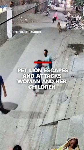 Pet lion escapes and attacks woman and her children