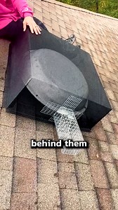 How to Deal with Squirrels like a PRO ️ #pestcontrol #squirrels | Pest Badger | Facebook