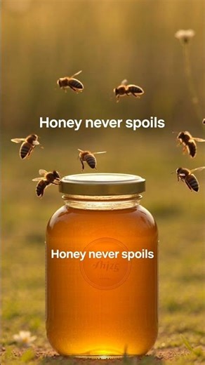 Why Honey Never Spoils – Amazing Fact!