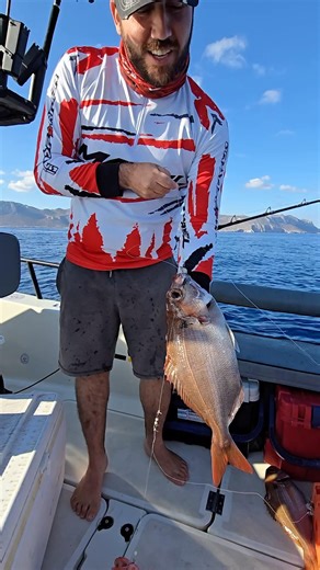 Χειροποίητη κάθετη Fishing Lab καλάμι Alpha Tackle Blue Bout 240 & μηχανισμός Daiwa Tanacom 1200💪✌️