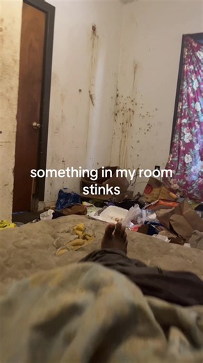 misterpissair (@misterpissair101)’s video of My Room