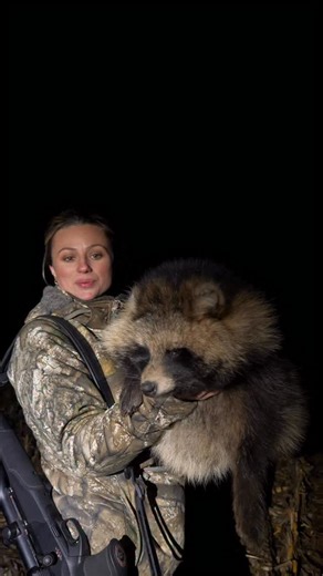 What an evening with this rather unusual double : keiler raccoon dog! We were quietly moving through freshly cut maize fields when we spotted a sounder of wild boar, a keiler a few metres away, and two raccoon dogs. I took the keiler first, then a raccoon dog just a few seconds later. Days like this don’t come often. Thank you, Saint Hubert 🙏🏼 Darz bór! — with @pixfra.technology @pixfra.france #PixfraOutdoor #Pixfra #Draco #Thermalimaging #Binoculars *collaboration commerciale* | Johanna Clerm