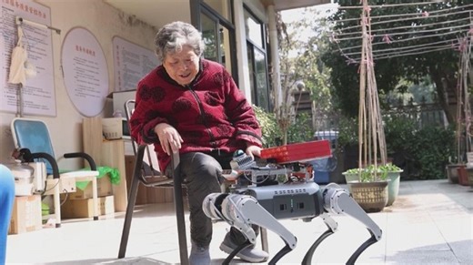 97 reactions | Robot dog to assist elderly care in Hangzhou community A robot dog named "Xiaoxi" has started trial operations in a Hangzhou community, assisting with elderly care by doing daily routines and offering companionship. | BastilleGlobal | Facebook