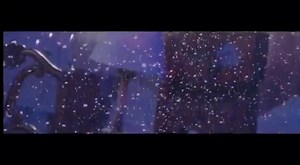 Emir Đulović - Merlin #juzniritambg #emirdulovic #merlin | Juzni Ritam BG